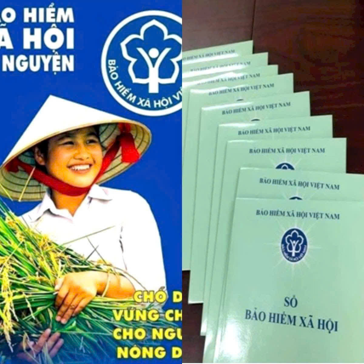 3f37d026e40a6954301b