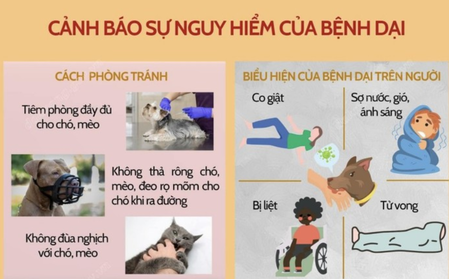 cảnh báo nguy hểm dại