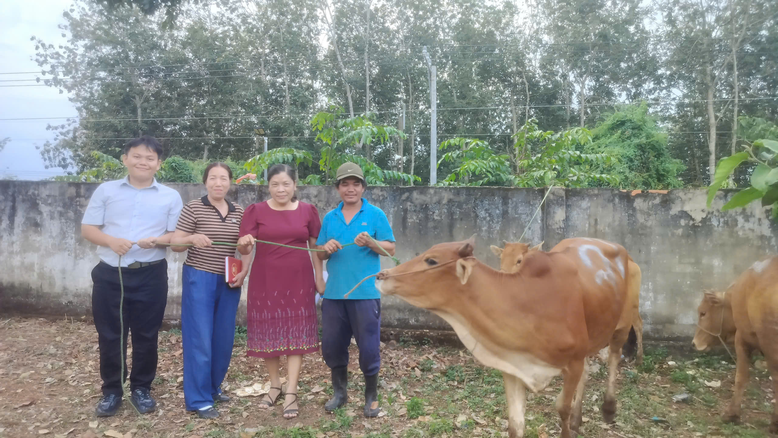 008be4375708d8568119