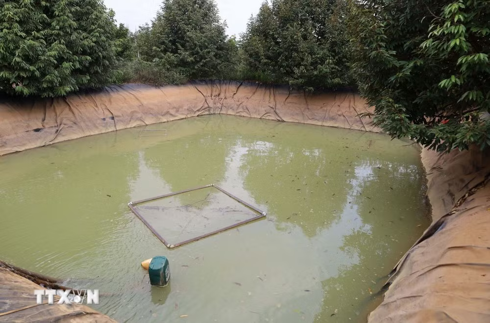 cong trinh ho chua nuoc darana o nghia trung dong nai 1704 3